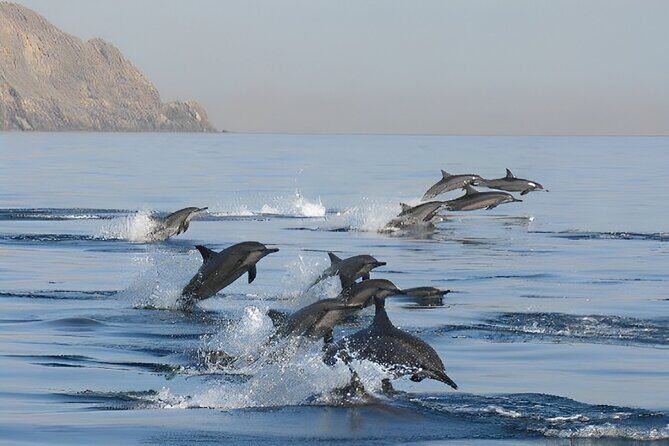 Dolphin Watching and Snorkeling Activity in Muscat - What’s included on board: snacks, drinks, and how it changes the mood