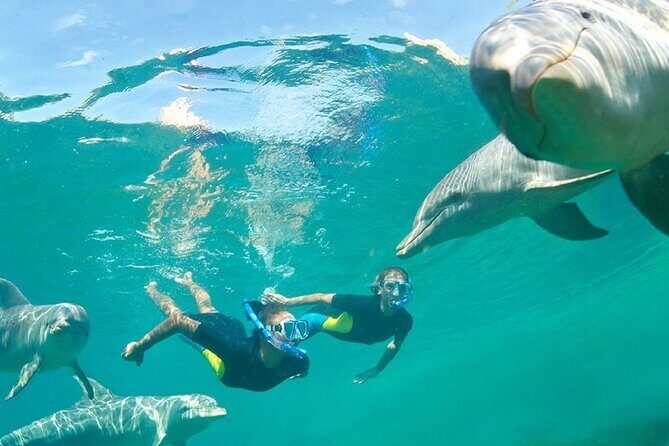 Dolphin Watching and Snorkeling Activity in Muscat - How long it really takes: the 3-hour label and what to expect