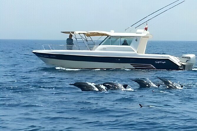 Dolphin Watching and Snorkeling Activity in Muscat - Weather and sea conditions: why this tour is weather-dependent