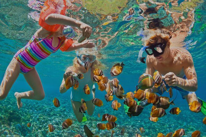 Dolphin Watching and Snorkeling Tour from Muscat - Key Things I’d Plan For Before You Go