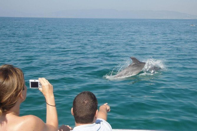 Dolphin Watching and Snorkeling Tour from Muscat - Who Should Book This Tour (And Who Might Want a Different Plan)