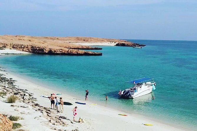Dolphin Watching & Snorkeling - What Makes This Tour Work in Real Life