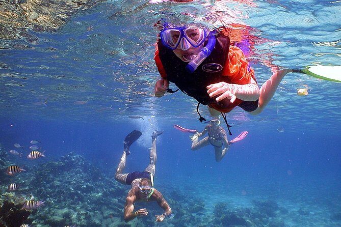 Dolphin Watching & Snorkeling - Who This Tour Fits Best