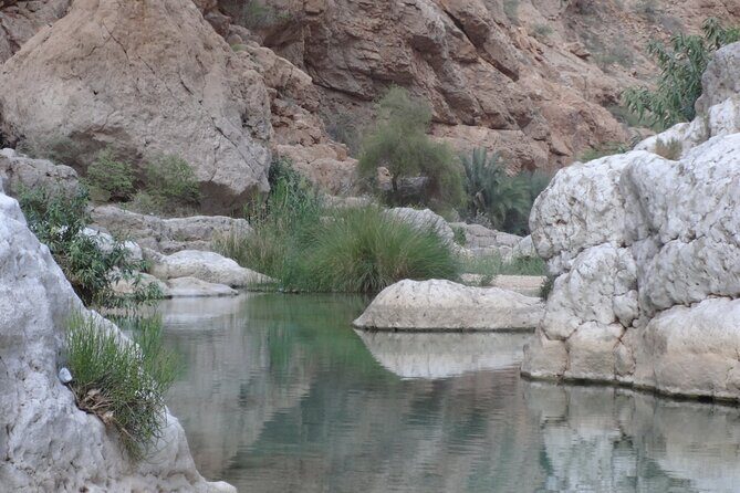East Coast and Wadi Shab tour - Sur’s dhow-building yard and old town: where the work is the attraction