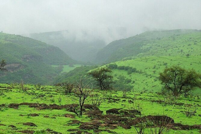 East of Salalah, Mountain Safari, Camels, Waterfall, White beach - Jabal Samhan: “Grand Canyon” views over plain and coast