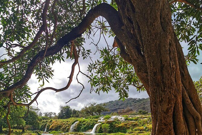 East of Salalah, Mountain Safari, Camels, Waterfall, White beach - Tawi Ateer sinkhole and Teeq Cave: the day’s real fitness check