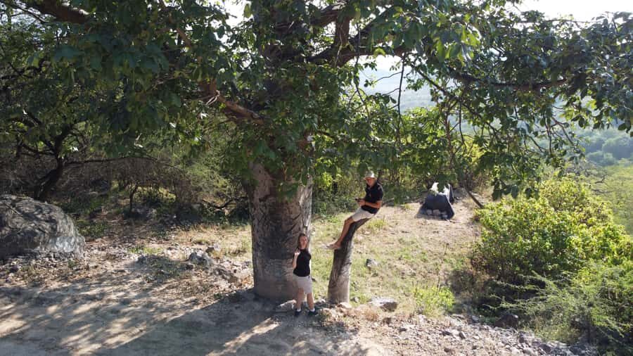East Salalah Adventure: Nature, History, and Scenic Views - Anti-Gravity Point + baobab trees: the day’s fun side (with real photo payoff)