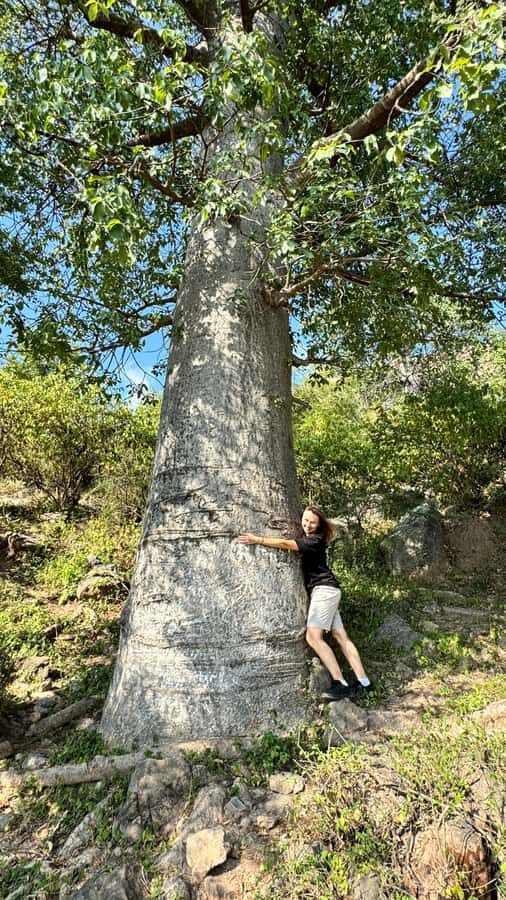 East Salalah Adventure: Nature, History, and Scenic Views - Wadi Darbat: waterfalls, pools, and an easy nature walk