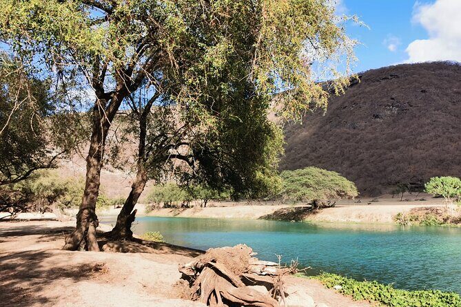 East Salalah Highlights: Half-Day Heritage & Scenic Countryside - Samhan mountain: baobabs and the gravity-defying drive