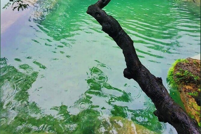 East Salalah Mountain Safari - Taqah Beach: quick photos, big payoff
