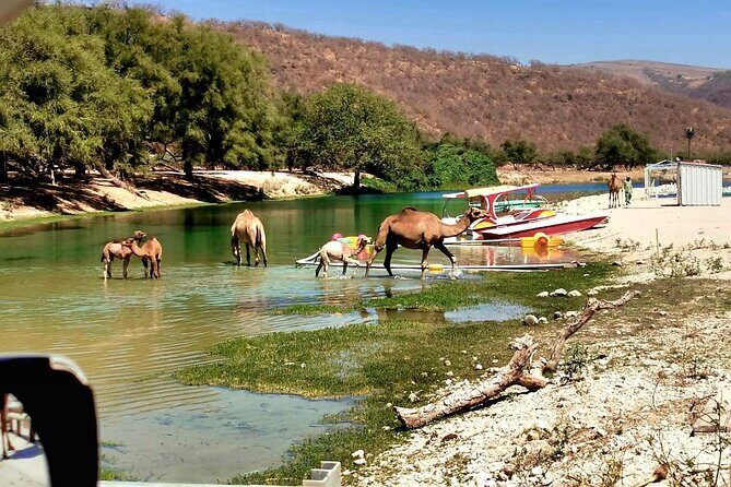 East Salalah Private Tour by VisitSalalah - Wadi Darbat: waterfalls, caves, camels, and Khareef timing