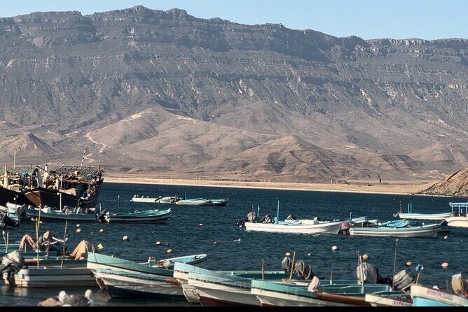 East Salalah tour Full day (private tour) - Taqah sunset over the sea: a short stop with a big emotional payoff