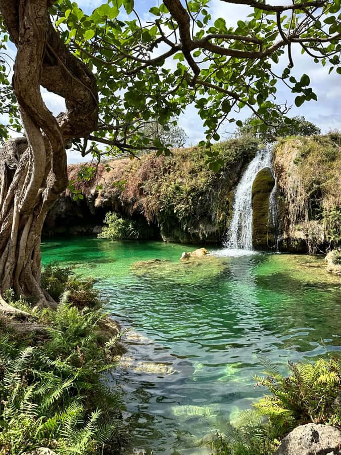 Elite Private Full Day Tour - Salalah Main Attractions - Key things I’d circle before you book