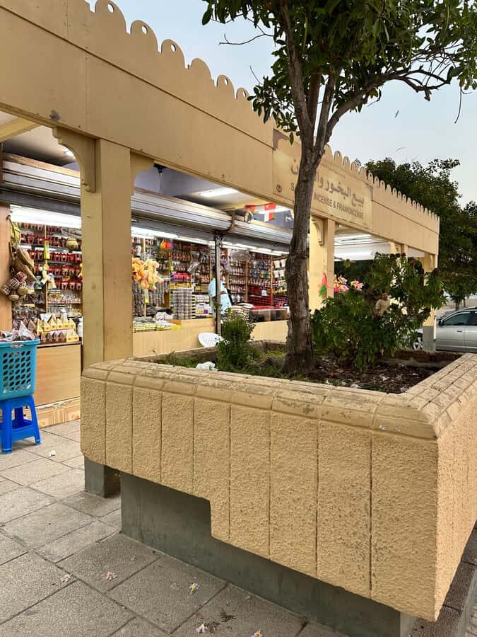 Elite Private Full Day Tour - Salalah Main Attractions - Ain Sahlanout Spring and Haffah Souk: Seeing Frankincense Traditions Up Close