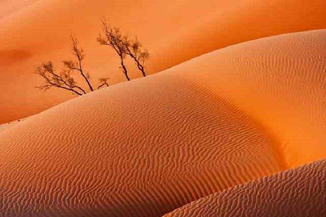 Empty Quarter And Lost City Of Ubar - Price and logistics: what you’re really paying for