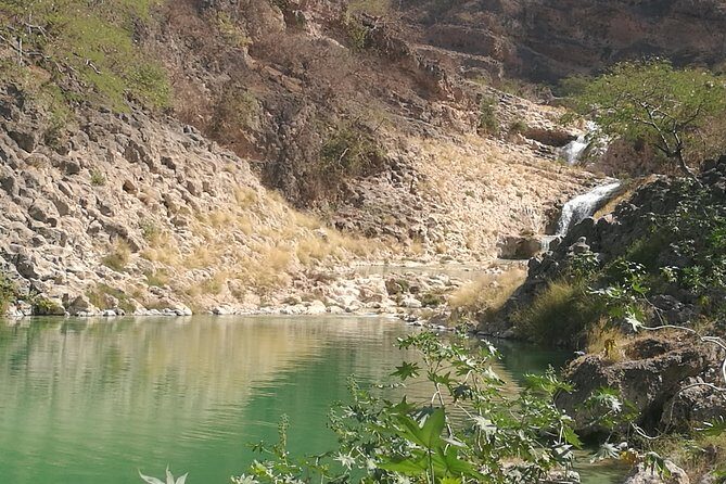Enjoy a Full-Day Tour Uncovering East Salalah’s Hidden Gems - Stop-by-Stop: From Taqah Beach to UNESCO Sumhuram