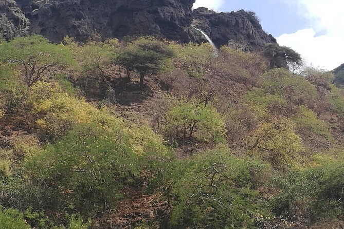 Enjoy a Full-Day Tour Uncovering East Salalah’s Hidden Gems - Should You Book This East Salalah Day Tour?