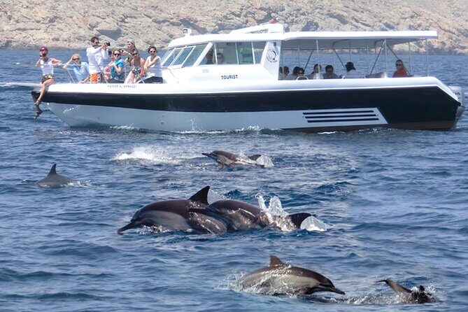 Experience Dolphin watching and snorkeling in Muscat - Quick highlights before you go