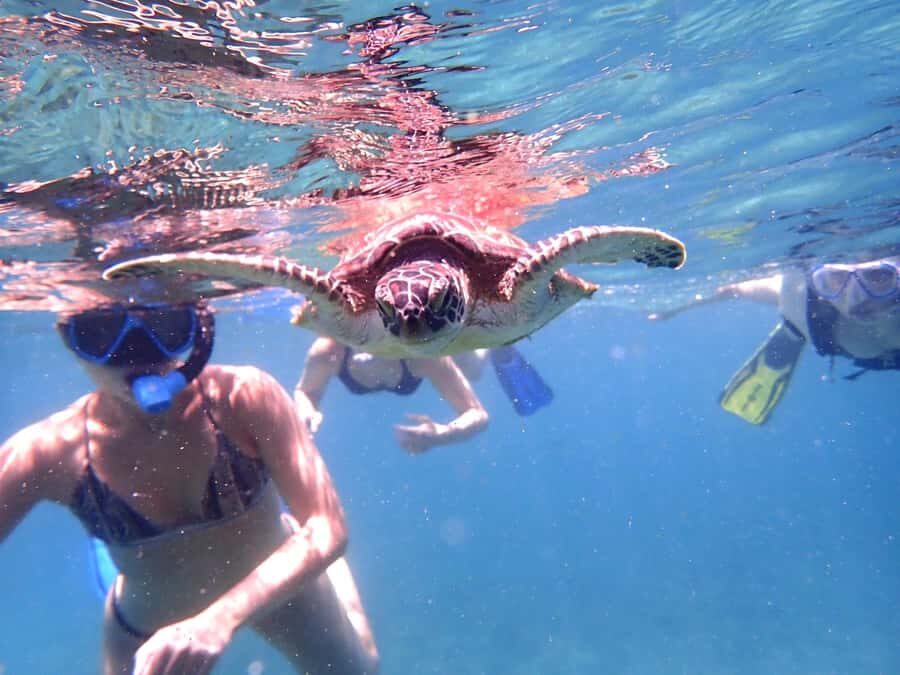 From Al-Seeb: Dimaniyat Islands Boat Trip with Snorkeling - What you eat and drink: snacks, juice, and staying comfortable in Oman heat