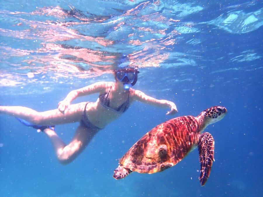 From Al-Seeb: Dimaniyat Islands Boat Trip with Snorkeling - Price and value: is $85 worth it?