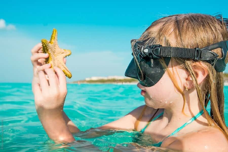 From Muscat: Dimaniyat Islands Snorkeling Tour - Dimaniyat Islands: what makes this Muscat snorkeling trip special