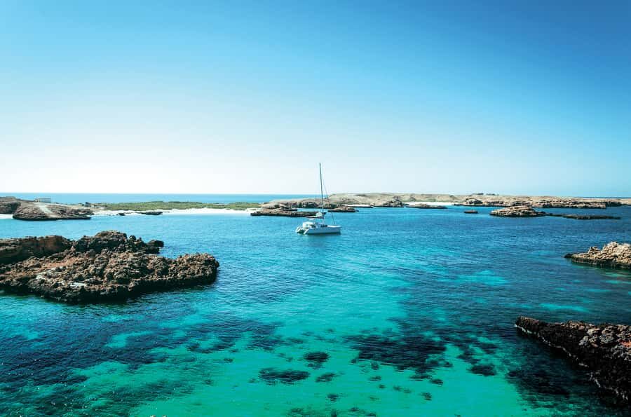 From Muscat: Dimaniyat Islands Snorkeling Tour - Snorkeling the UNESCO nature reserve: turtles, corals, and what to look for