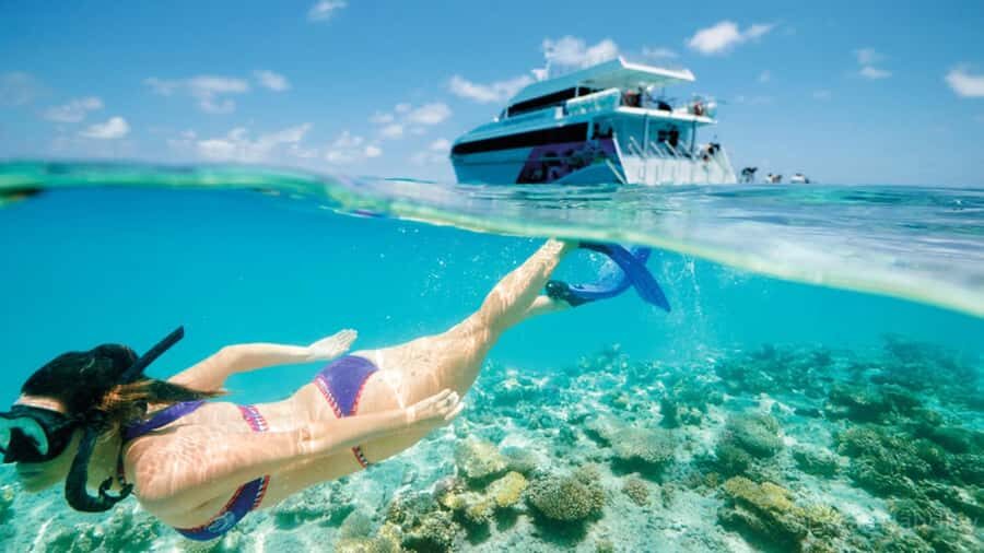 From Muscat: Dimaniyat Islands Snorkeling Tour - How the 6 hours actually move: pickup to boat to snorkel stops
