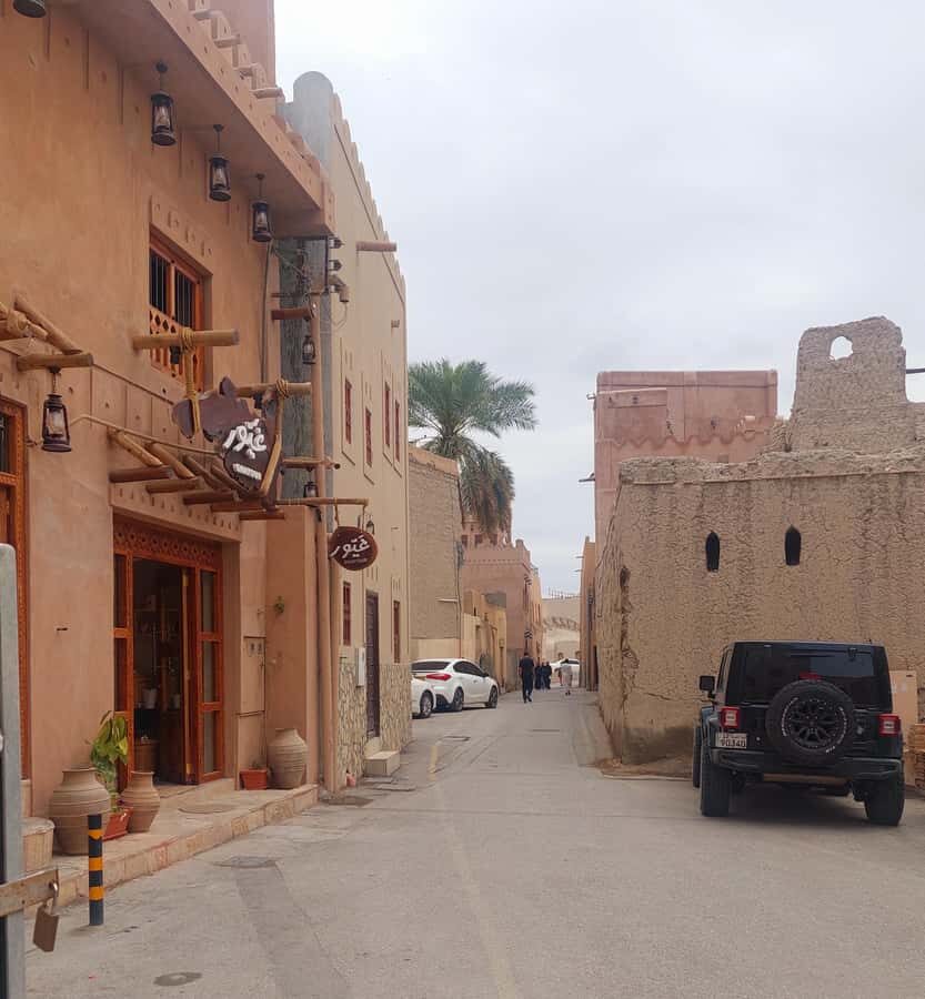 From Muscat: Nizwa and Oman's Historical Gems Tour - Price and Logistics: what the $100 really covers