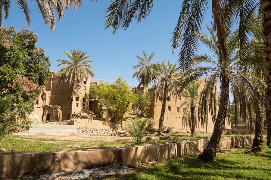 From Muscat: Nizwa & Oman Across Ages Museum - Should You Book This Nizwa and Oman Across Ages Museum Tour?