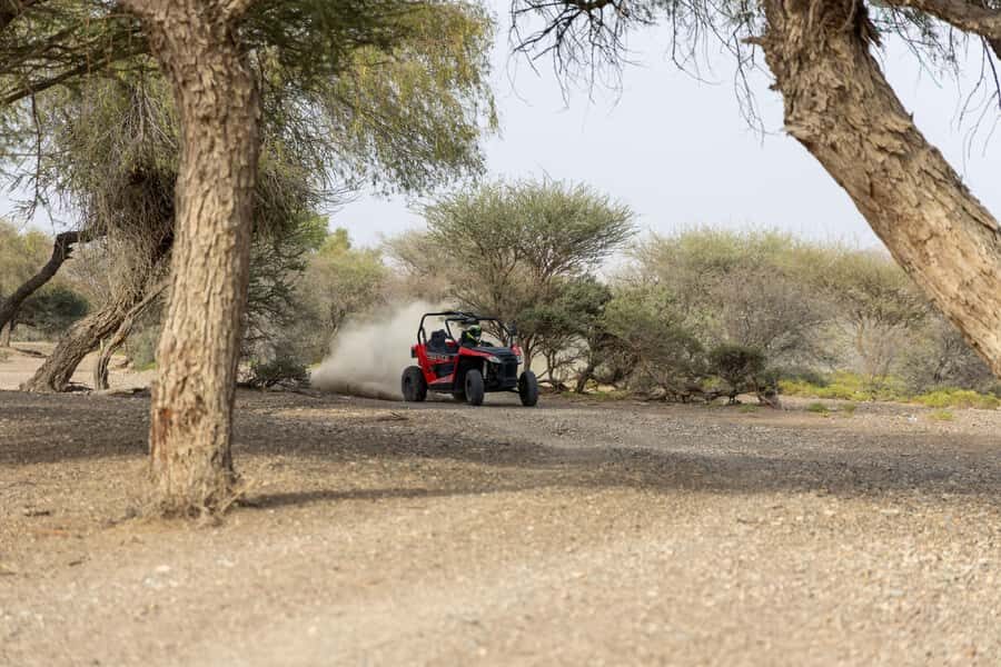 From Muscat: Self-Drive ATV Adventure in Wadi Al Rak - The Terrain Reality Check: Fun, But Not “Gentle”