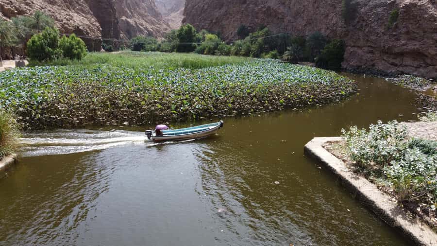 From Muscat: Wadi Shab & Bimmah Sinkhole Full-Day Tour - What to pack: the stuff that makes the day smooth