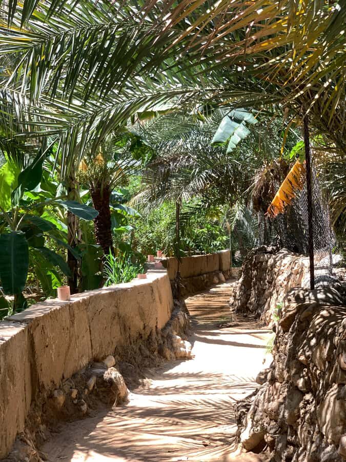 From Muscat: Wadi Shab & Sinkhole Private Tour & Free Lunch - Wadi Shab: The 40-Minute Walk, Terraced Gardens, and Cave Swim