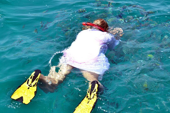 Full Day Dhow Cruise to Khor Sham with lunch & Snorkeling (Shore excursions) - Why a Khor Sham dhow day feels like the real Oman side of Khasab