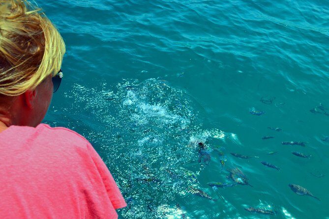 Full Day Dhow Cruise to Khor Sham with lunch & Snorkeling (Shore excursions) - The 9:30 departure and what the morning sets up