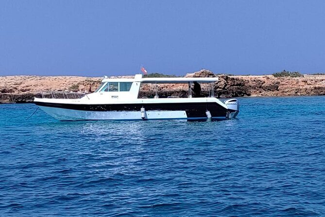Full Day Dimaniyat Island Excursion - Price and Value at $145: When It Feels Fair
