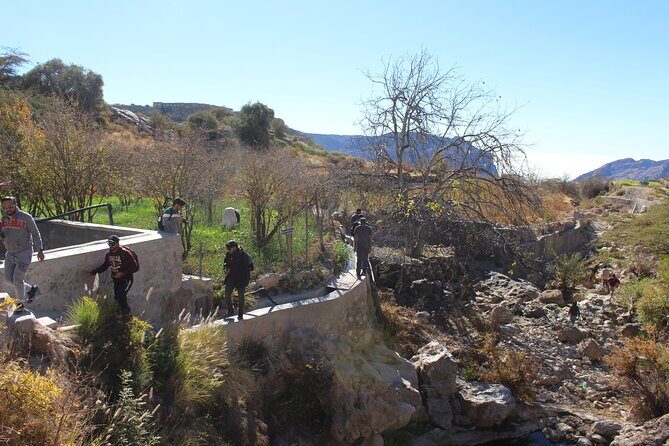Full-Day Guided Tour to Jebel Akhdar - March rose farms and rose-water knowledge