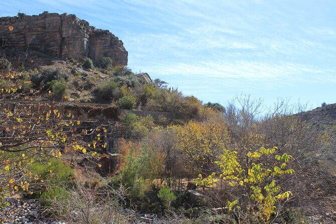 Full-Day Guided Tour to Jebel Akhdar - Summer fruit stops: pomegranate and grapes