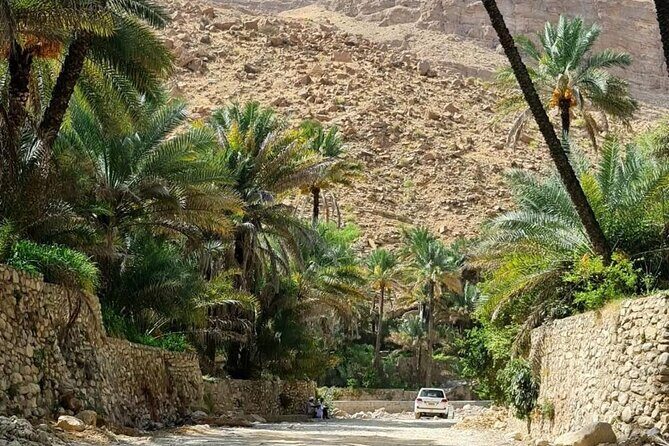 Full-Day Private Tour of Wahiba Sands Desert and Wadi Bani Khalid - Stop 1: Fanja for quick views near Wadi Fanja (10 minutes, free)