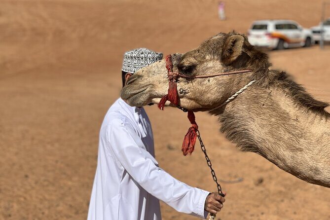 Full-Day Private Tour of Wahiba Sands Desert and Wadi Bani Khalid - Wahiba Sands in Ash-Sharqiyah: Bedouin house, coffee, dates, and dunes