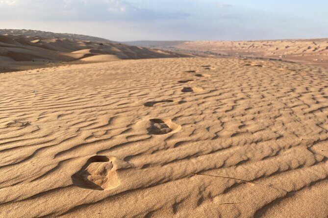 Full-Day Private Tour of Wahiba Sands Desert and Wadi Bani Khalid - Price and value: is $179 per person fair for this private day?
