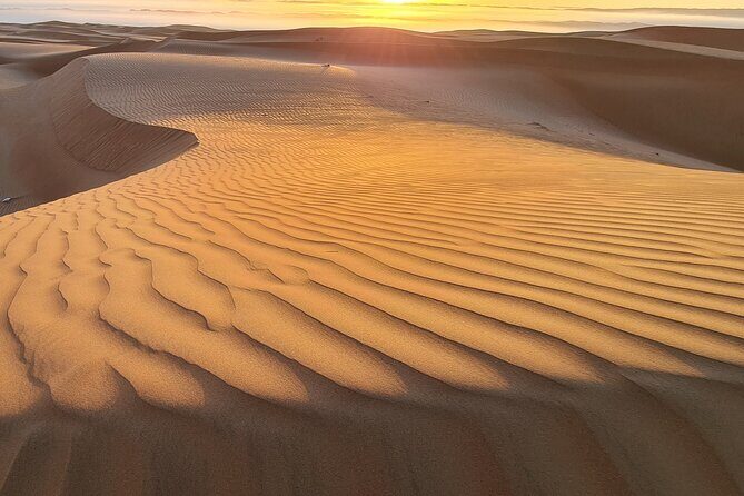 Full-Day Private Wahiba Sands Desert and Wadi Bani Khalid Tour - Wadi Bani Khalid: Canyon Pools, Swimming, and a Chance to Go Deeper