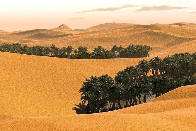 Full-Day Private Wahiba Sands Desert and Wadi Bani Khalid Tour - What the Best Guides Actually Add (Names You Might Hear)
