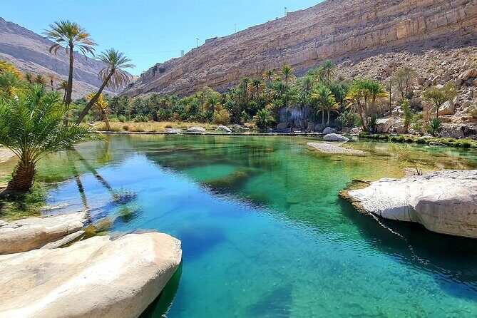 Full-Day Private Wahiba Sands Desert and Wadi Bani Khalid Tour - Price and Value: What $207 Buys You in Oman