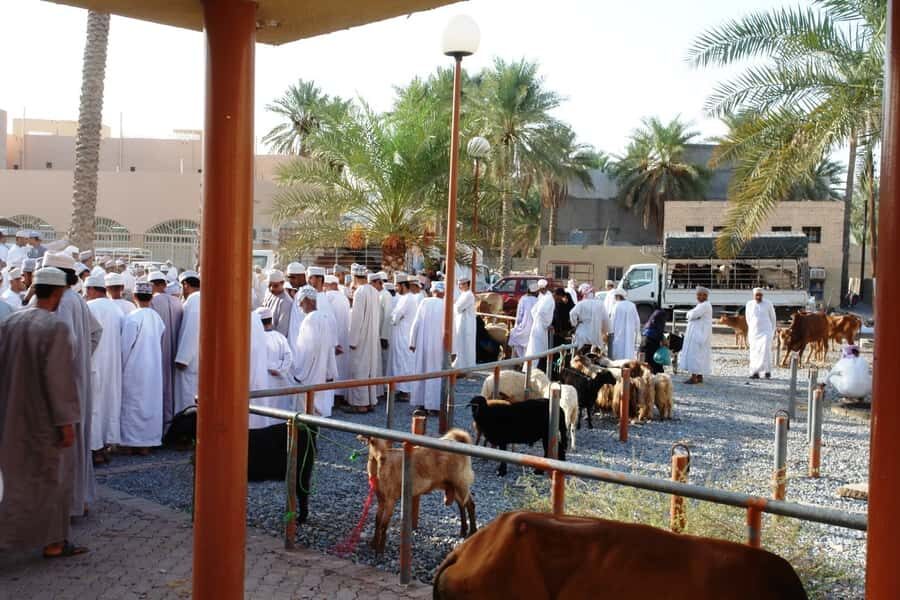 Full-Day Tour in Oman: Enchanting Forts of Nizwa and Jabreen - Key things to know before you go