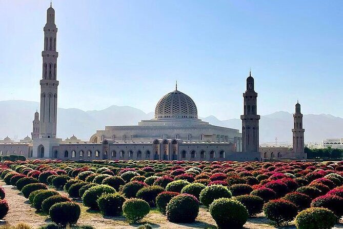Half Day Private Muscat City Afternoon Tour - Why the 3:00 pm start works in Muscat