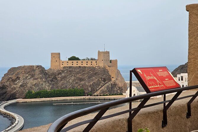 Half Day Private Muscat City Tour - Mutrah Fish Market: the auction-style selling that shows how mornings work