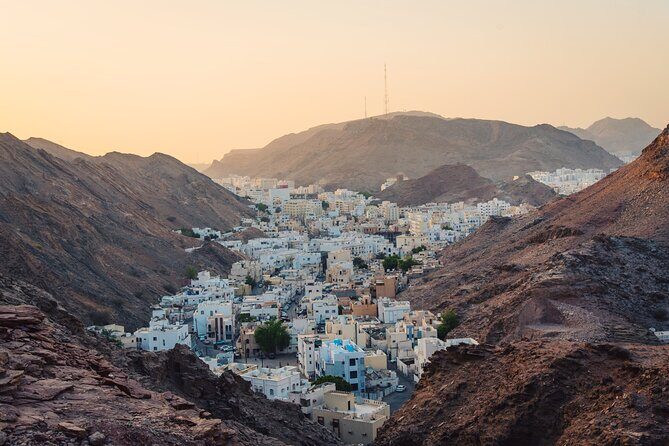Half-Day Private Muscat City Tour- with a local guide - What the local guide does for your day