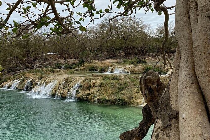 Half-Day Private Salalah East Tour - Key Highlights You’ll Notice Fast