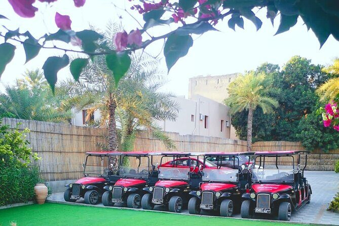 Heritage private Tour by classic carts - Passing Nizwa’s sights: souk, fortress views, and the Al Bustan inn
