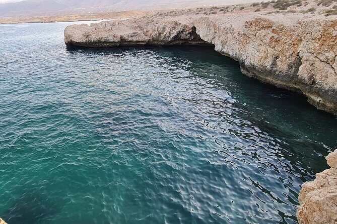 Hidden Gems of Oman: Sinkhole, Fins Beach & Wadi Tiwi Adventure - Price and value: what your $182.30 buys you